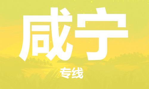 番禺區(qū)到咸寧物流專線-番禺區(qū)物流到咸寧（直送/無盲點(diǎn)）